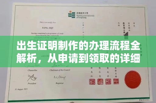 开福出生证明制作的办理流程全解析，从申请到领取的详细指南
